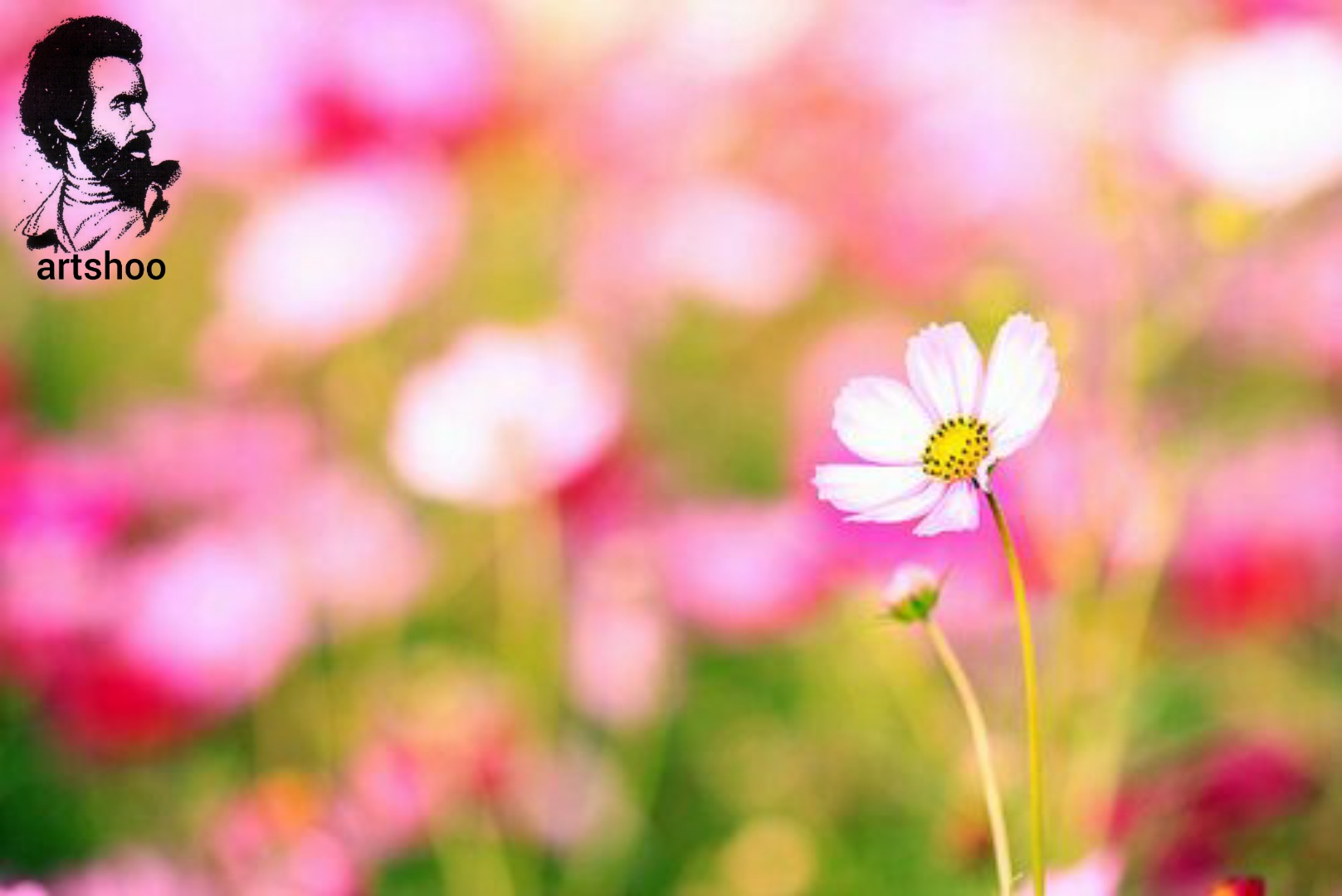 گل اورژینال رنگ روغن